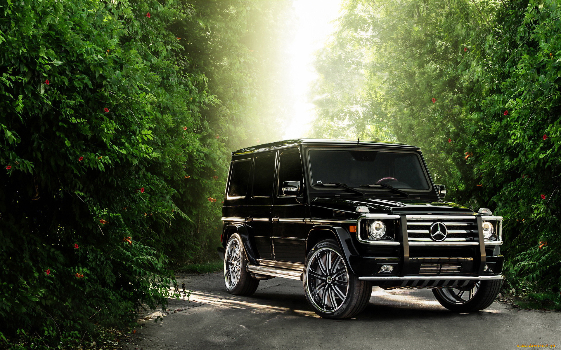 , mercedes, benz, 